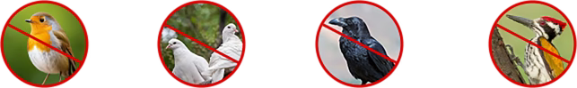 Image with text