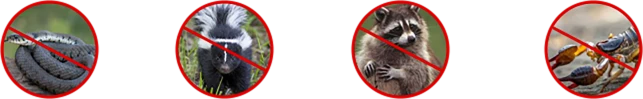 Image with text