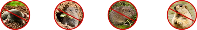 Image with text