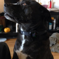 Review image 1