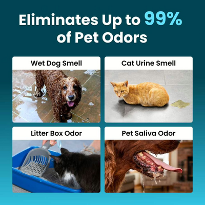 🔥LIMITED TIME 50% OFF!🔥26K+ SOLD! Eliminate Pet Smells In Under 24 Hours & Stop Them From Coming Back