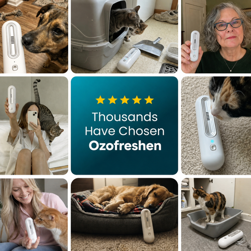 🔥LIMITED TIME 50% OFF!🔥26K+ SOLD! Eliminate Pet Smells In Under 24 Hours & Stop Them From Coming Back
