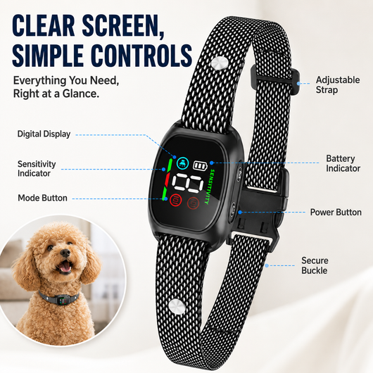 🐕2026 HOT SALE🥳🐾 50% OFF! Anti Bark Collar – Smart anti‑false triggering filters out other barks. IP67 waterproof & USB rechargeable – worry‑free training anywhere! 💦✅