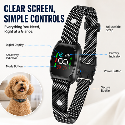 🐕2026 HOT SALE🥳🐾 50% OFF! Anti Bark Collar – Smart anti‑false triggering filters out other barks. IP67 waterproof & USB rechargeable – worry‑free training anywhere! 💦✅